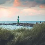 Seestern